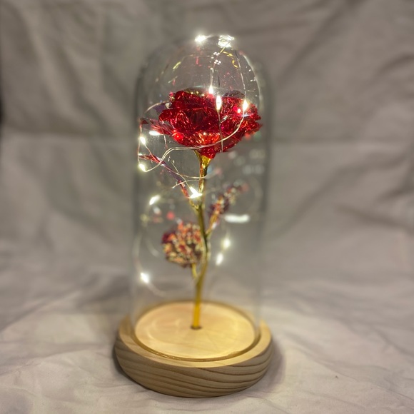Beauty and the beast, Disney glass rose in glass dome - Picture 1 of 4